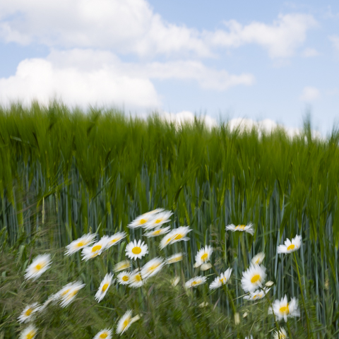 Photographie reportages