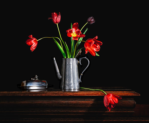 Photographie natures mortes