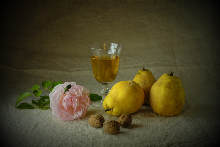 Photographie fruits
