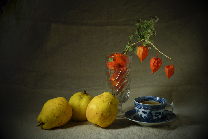 Photographie fruits