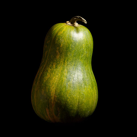 Photographie fruits