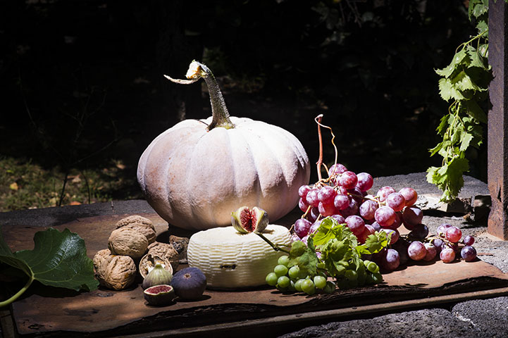 Photographie fruits