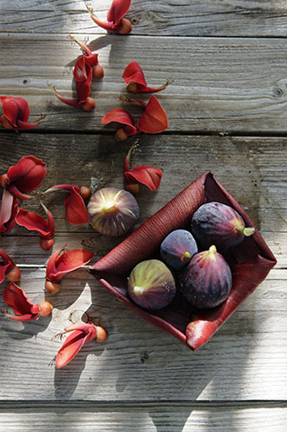 Photographie fruits