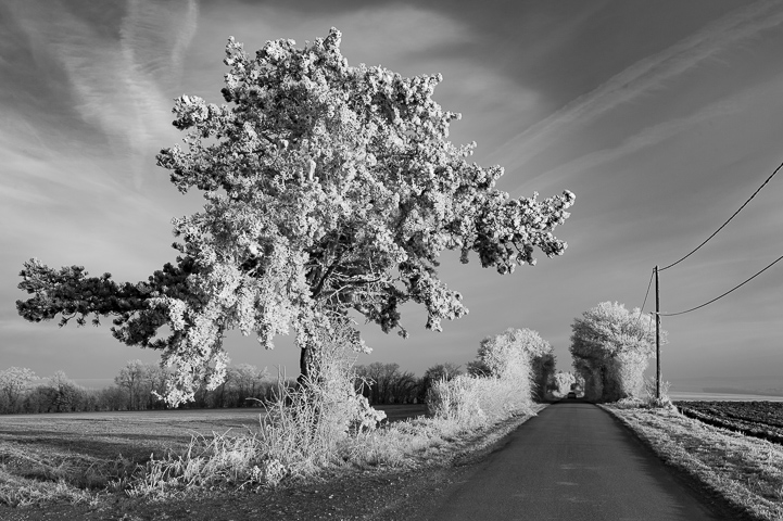 Photographie d'ambiance