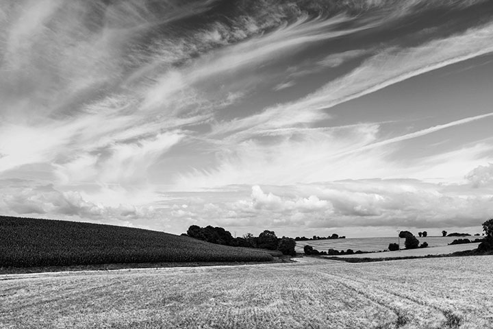 Photographies noir et blanc