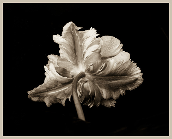 Photographie d'ambiance