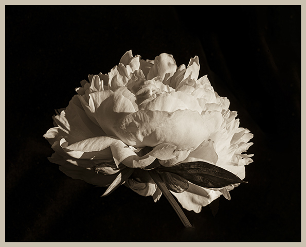 Photographie Lyon